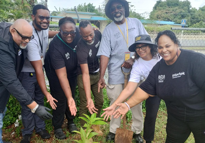 A group of colleagues forms a semi-circle around one of the newly planted trees, extending their arms towards it. 