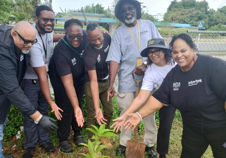 A group of colleagues forms a semi-circle around one of the newly planted trees, extending their arms towards it. 