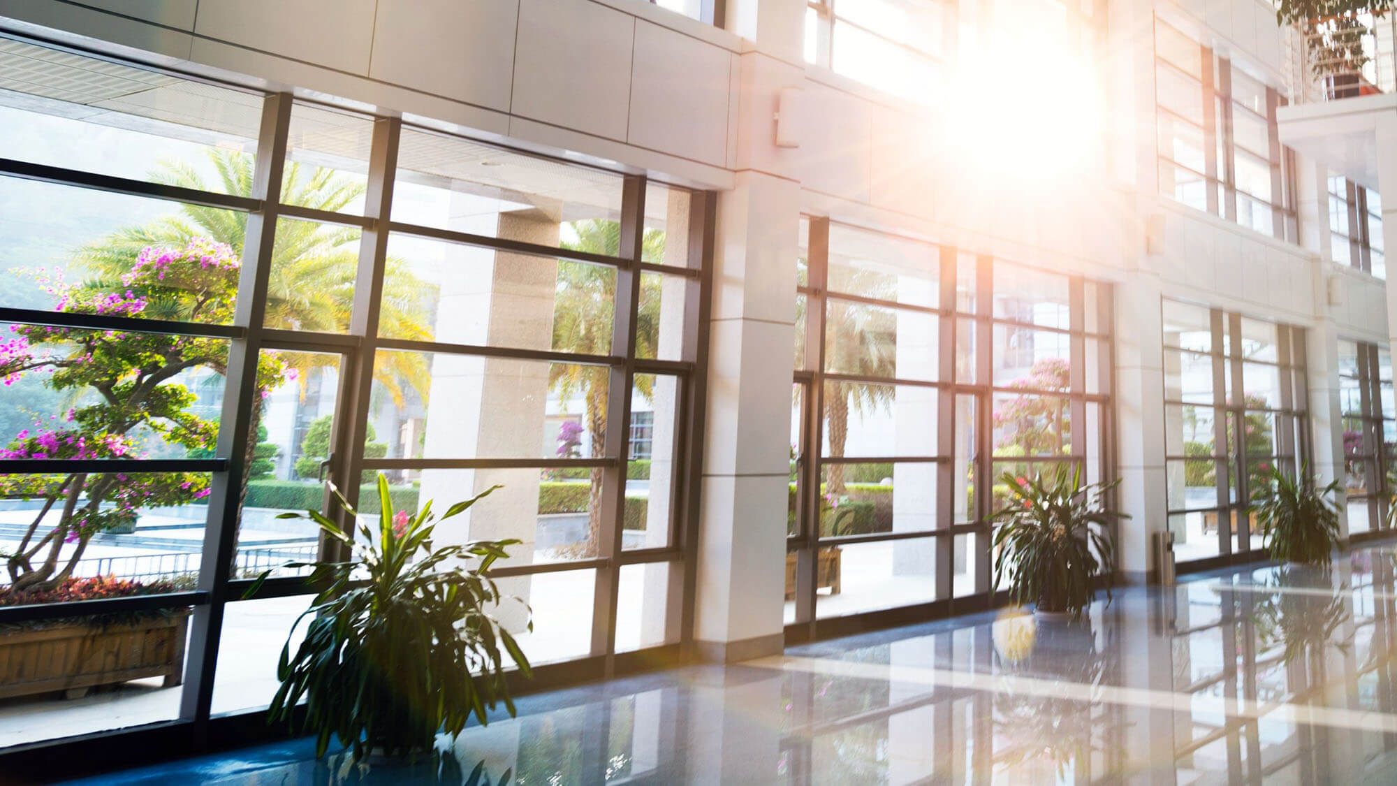 Modern office building with glass wall.