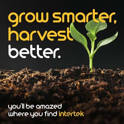 A small plant growing out of the soil
